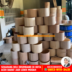 Jual Alat Drumband Berkualitas di Aceh Barat (2)