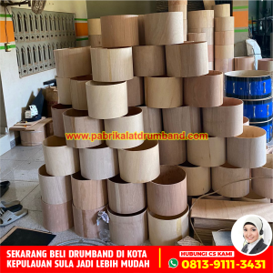 Jual Marchingband Terbaik di Kepulauan Sula (2)