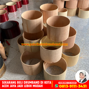 Jual Tenor Drumband Terbaik di Aceh Jaya (2)