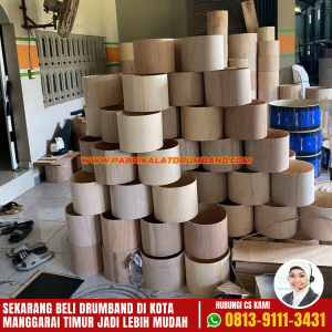 Jual Alat Drum band SMP di Manggarai Timur (2)
