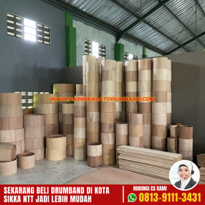 Jual Alat Drumband TK Terbaik di Sikka, NTT (2)