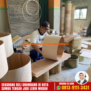 Jual Alat Musik Drumband TK di Sumba Tengah,NTT (2)