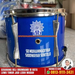 Jual Drumband Anak SD Lengkap dengan Stiker Logo Sekolah di Luwu Timur-1