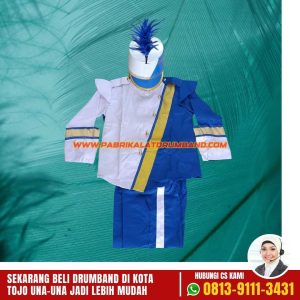 Perlengkapan Drumband TK