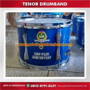 tenor drumb
